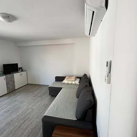 Tamaris ムルテル