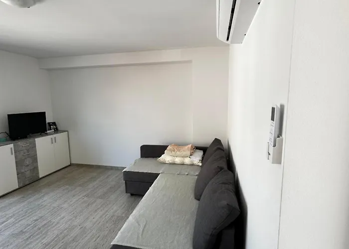 Tamaris 무르테르